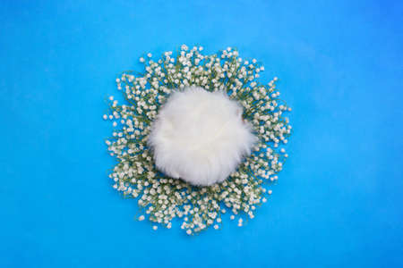 For photos of newborns, background. Digital backgrounds for newborns. Nest on a blue background with fur inside, surrounded by lily of the valley flowers.の写真素材