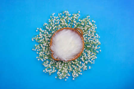 Digital backgrounds for newborns. Basket on a blue background with fur inside, surrounded by lily of the valley flowers.の写真素材