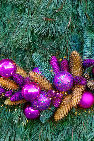 Lilac balls and cones on a spruce branch, christmas compositionの写真素材