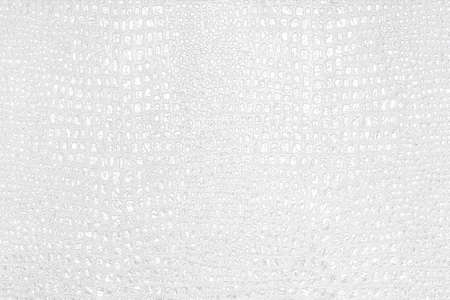 background of white python skin snake, crocodile, trend, fashion, background snake skin, alligator, python fashion luxuryの写真素材