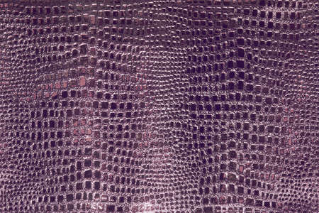 background of the purple skin of a snake, alligator, python, fashion, luxuryの写真素材