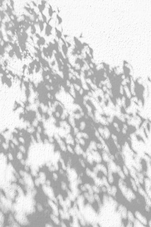 Sunlight and shadows on the wall from the branches of trees
