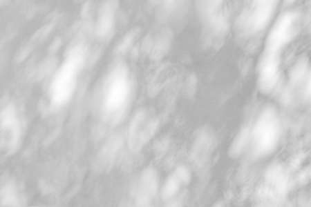 Sunlight and shadows on the wall from the branches of treesの写真素材