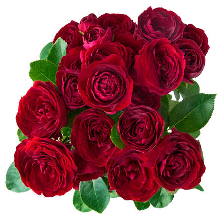 Big Red Roses Bouquet border.の写真素材