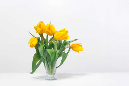 Yellow tulips in a vase on the table. Beautiful yellow tulips flowers in white interior closeup.の写真素材