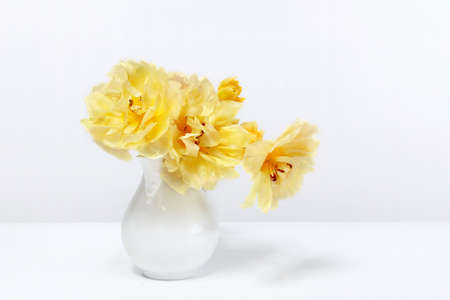 Yellow tulips in a vase on the table. Beautiful yellow tulips flowers in white interior closeup.の写真素材