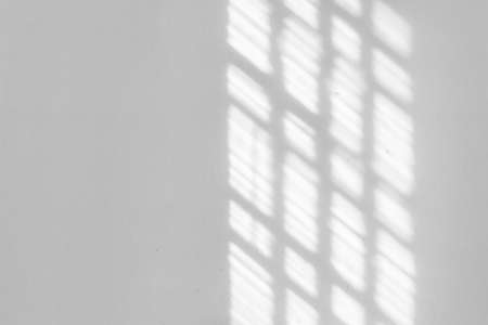 Window shadow overlay on a white wall background.の写真素材
