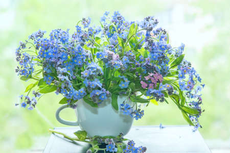 Blue forget-me-not flowers in a white cup on a window on a bookの写真素材