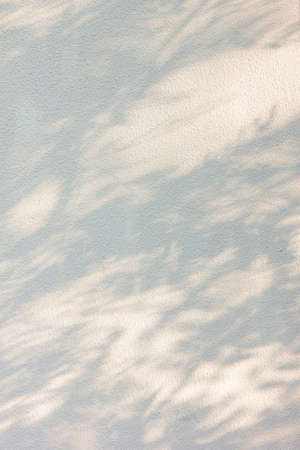 Gray shadows of the flowers on a white wall. Space for text. Blurred, defocused.の写真素材