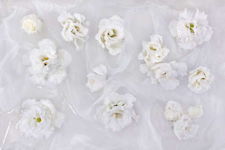 White flowers of eustoma, lisianthus, on a white fabric backgroundの写真素材