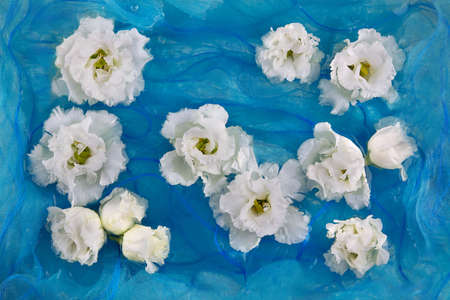 White flowers of eustoma, lisianthus, on a background of blue soft silk fabricの写真素材