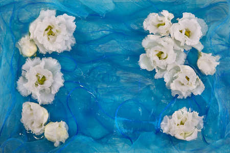 White flowers of eustoma, lisianthus, on a background of blue soft silk fabricの写真素材
