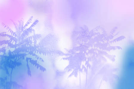 Neon shadows on the wall from palm trees. Shadow overlay of tropical palm leaves.の写真素材