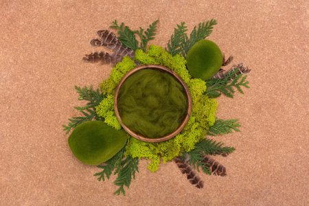 Digital background for a newborn, a bowl with white fur fluff surrounded by green moss, a forest theme.の写真素材