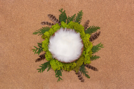 Digital background for a newborn, a bowl with white fur fluff surrounded by green moss, a forest theme.の写真素材