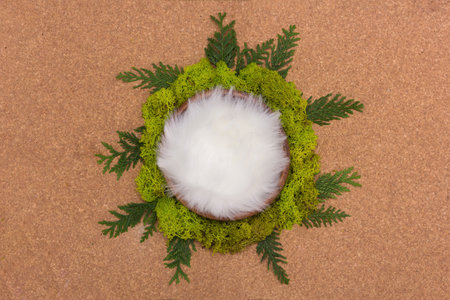 Digital background for a newborn, a bowl with white fur fluff surrounded by green moss, a forest theme.の写真素材