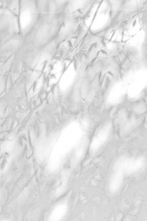 Gray shadow of natural leaves tree and tree trunk falling on white concrete wall for background design and wallpaperの写真素材