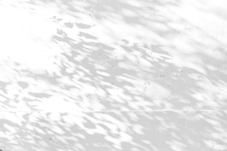 Gray shadow of natural leaves tree and tree trunk falling on white concrete wall for background design and wallpaperの写真素材