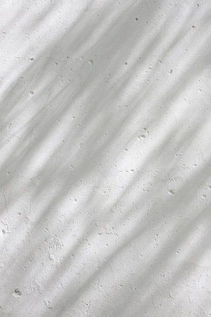 Gray shadow of natural leaves tree and tree trunk falling on white concrete wall for background design and wallpaperの写真素材