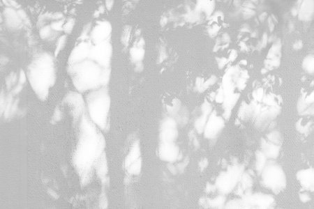 Gray shadow of natural leaves tree and tree trunk falling on white concrete wall for background design and wallpaperの写真素材