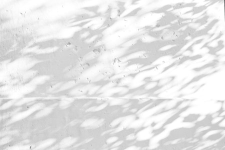 Gray shadow of natural leaves tree and tree trunk falling on white concrete wall for background design and wallpaperの写真素材