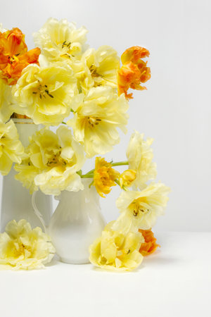 Yellow and orange hybrid tulips in a white vase on a white table against a white wall.の写真素材