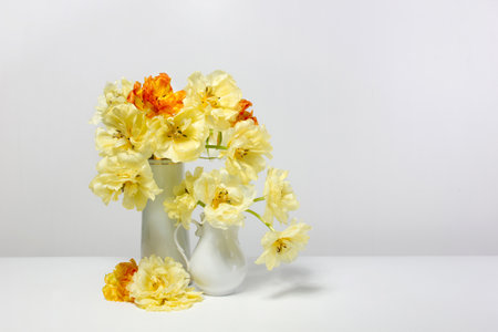 Yellow and orange hybrid tulips in a white vase on a white table against a white wall.の写真素材