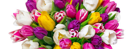 Big bouquet of colorful multi-colored tulips isolated on white background. holiday, spring.の写真素材