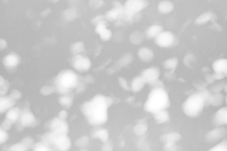 Gray shadow of natural leaves tree and tree trunk falling on white concrete wall for background design and wallpaperの写真素材
