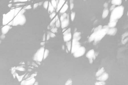 Vine leaf silhouettes on a gray wall background. Shadow and light.