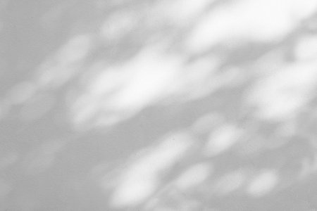 Gray shadow of natural leaves tree and tree trunk falling on white concrete wall for background design and wallpaperの写真素材