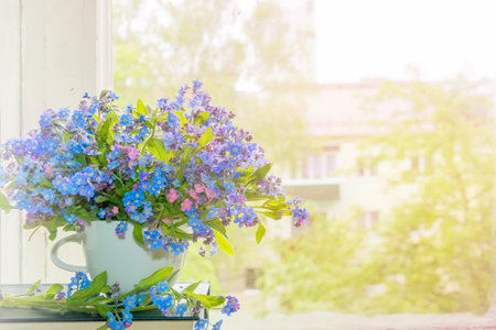 Blue forget-me-nots in a white ceramic cup on the windowsill, a blue bouquet for the holiday.の写真素材