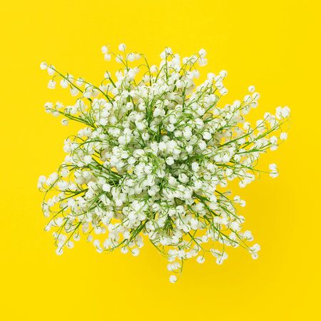 Bouquet of white fragrant lilies of the valley isolated on a yellow backgroundの写真素材