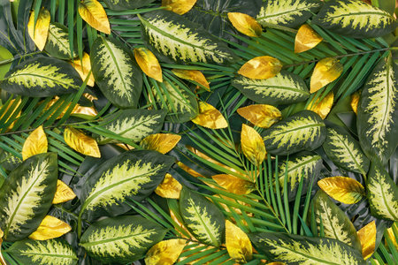 Decorative background of date monstera and dieffenbachia palm leaves with golden leaves in a simple shape.の写真素材