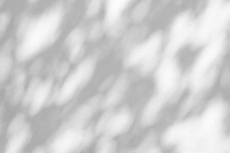 Gray shadow of natural leaves tree and tree trunk falling on white concrete wall for background design and wallpaperの写真素材