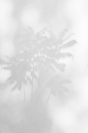blurred light bokeh against the background of coconut trees at sunset or dawnの写真素材