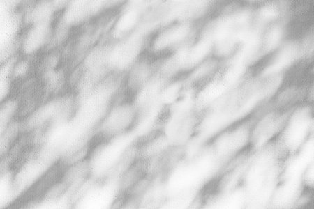 Gray shadow of natural leaves tree and tree trunk falling on white concrete wall for background design and wallpaperの写真素材
