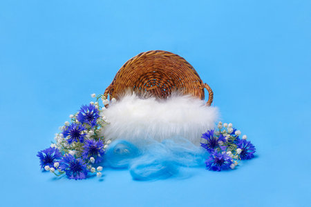 Blue digital background for newborns for photographers with a basket of flowers of lily of the valley and cornflower, fur.の写真素材