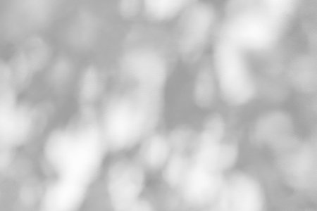 Gray shadow of natural leaves tree and tree trunk falling on white concrete wall for background design and wallpaperの写真素材