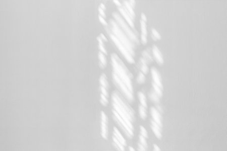 Window shadow overlay on a white wall background.の写真素材