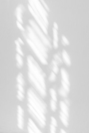 Window shadow overlay on a white wall background.の写真素材