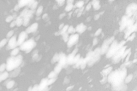 The shadow of the sun through shining the forest, round and oval spots on a white wall.の写真素材