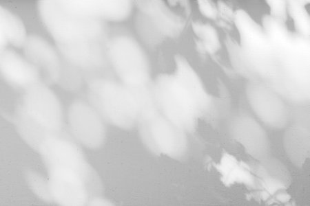 The shadow of the sun through shining the forest, round and oval spots on a white wall.の写真素材