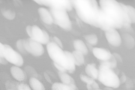 The shadow of the sun through shining the forest, round and oval spots on a white wall.の写真素材