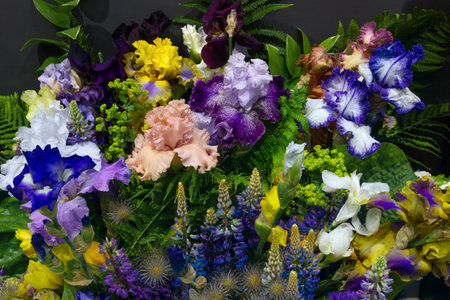 A bouquet of blue and purple irises in a rich composition with green leaves on a black backgroundの写真素材