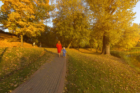 Autumn park with a child and mother walking into the distance along a paved path, rear view.の写真素材
