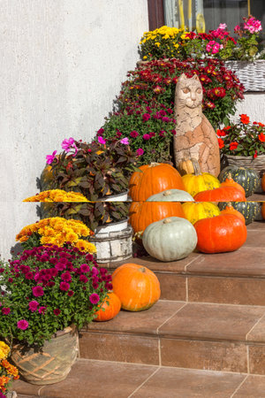 The porch of the house is decorated for Halloween with flowers and pumpkins, a sunny October day.の写真素材