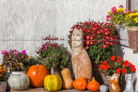 The porch of the house is decorated for Halloween with flowers and pumpkins, a sunny October day.の写真素材