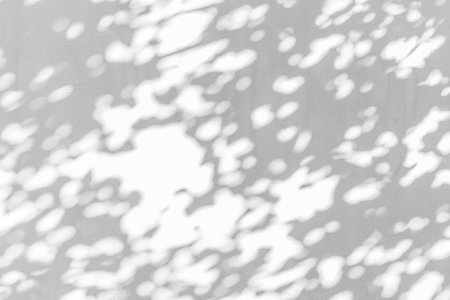 Gray shadow of natural leaves tree and tree trunk falling on white concrete wall for background design and wallpaperの写真素材