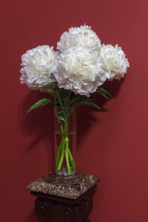 Exquisite magical beautiful peonies stand in a bouquet in a vase on a table on a brown background.の写真素材